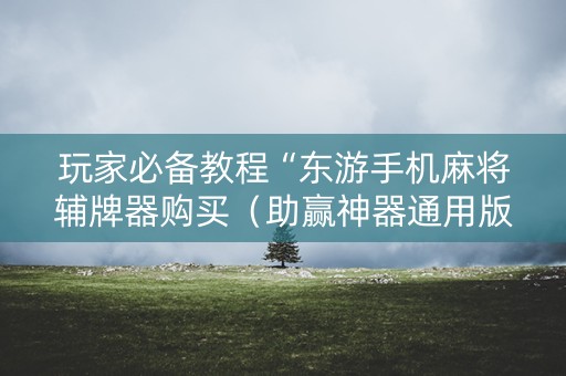 玩家必备教程“东游手机麻将辅牌器购买（助赢神器通用版）