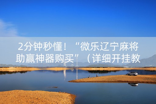 2分钟秒懂！“微乐辽宁麻将助赢神器购买”（详细开挂教程）-哔哩哔哩