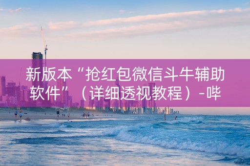 新版本“抢红包微信斗牛辅助软件”（详细透视教程）-哔哩哔哩