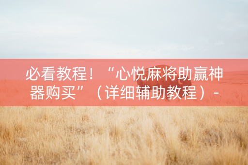 必看教程！“心悦麻将助赢神器购买”（详细辅助教程）-哔哩哔哩