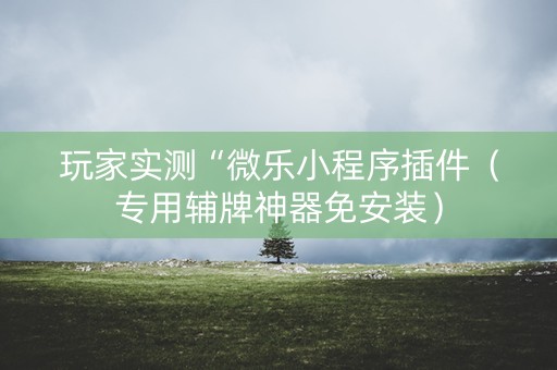 玩家实测“微乐小程序插件（专用辅牌神器免安装）