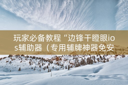玩家必备教程“边锋干瞪眼ios辅助器（专用辅牌神器免安装）