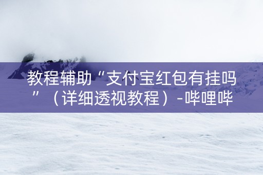 教程辅助“支付宝红包有挂吗”（详细透视教程）-哔哩哔哩