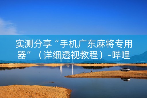 实测分享“手机广东麻将专用器”（详细透视教程）-哔哩哔哩