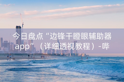 今日盘点“边锋干瞪眼辅助器app”（详细透视教程）-哔哩哔哩