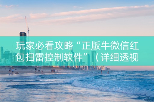 玩家必看攻略“正版牛微信红包扫雷控制软件”（详细透视教程）-哔哩哔哩