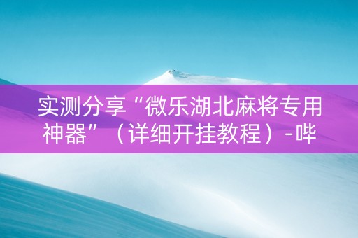 实测分享“微乐湖北麻将专用神器”（详细开挂教程）-哔哩哔哩
