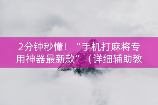 2分钟秒懂！“手机打麻将专用神器最新款”（详细辅助教程）-哔哩哔哩