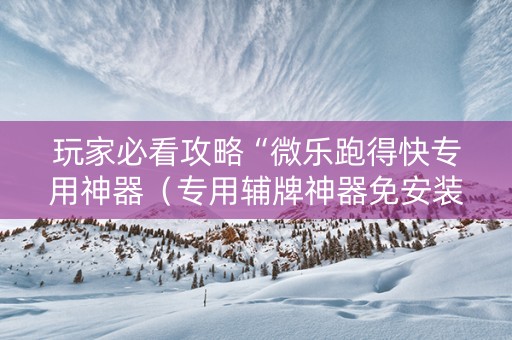 玩家必看攻略“微乐跑得快专用神器（专用辅牌神器免安装）