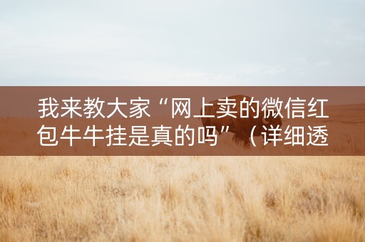 我来教大家“网上卖的微信红包牛牛挂是真的吗”（详细透视教程）-哔哩哔哩