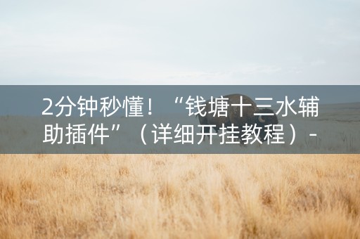 2分钟秒懂！“钱塘十三水辅助插件”（详细开挂教程）-哔哩哔哩