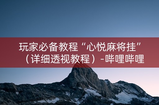 玩家必备教程“心悦麻将挂”（详细透视教程）-哔哩哔哩