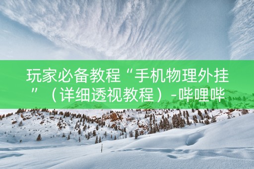 玩家必备教程“手机物理外挂”（详细透视教程）-哔哩哔哩