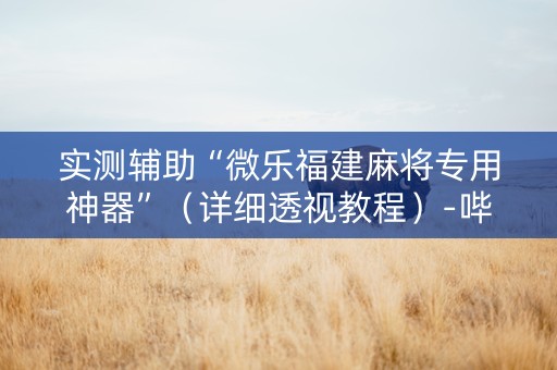 实测辅助“微乐福建麻将专用神器”（详细透视教程）-哔哩哔哩
