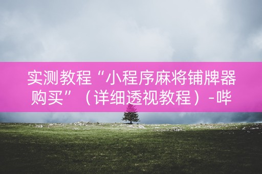 实测教程“小程序麻将铺牌器购买”（详细透视教程）-哔哩哔哩