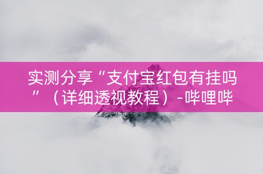 实测分享“支付宝红包有挂吗”（详细透视教程）-哔哩哔哩