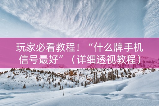 玩家必看教程！“什么牌手机信号最好”（详细透视教程）-哔哩哔哩