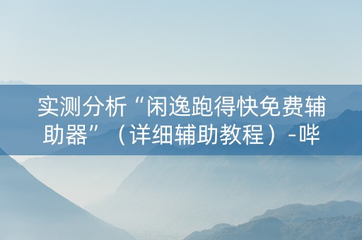 实测分析“闲逸跑得快免费辅助器”（详细辅助教程）-哔哩哔哩