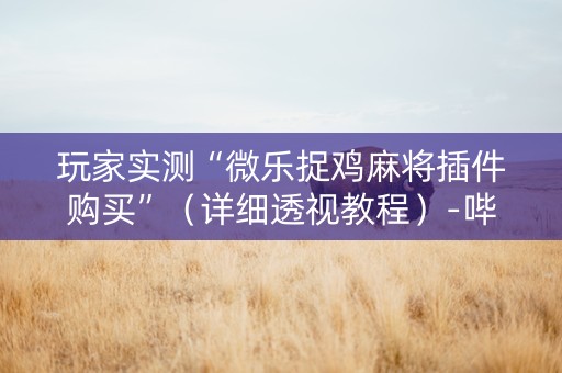玩家实测“微乐捉鸡麻将插件购买”（详细透视教程）-哔哩哔哩
