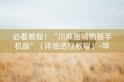 必看教程！“川麻圈辅助器手机版”（详细透视教程）-哔哩哔哩