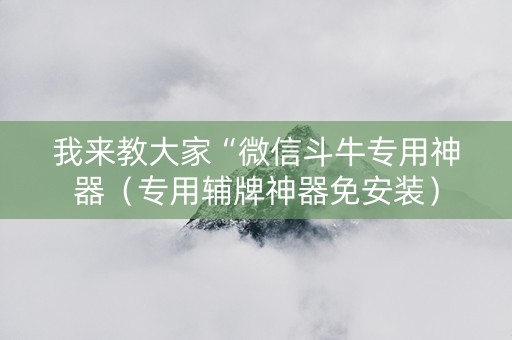 我来教大家“微信斗牛专用神器（专用辅牌神器免安装）