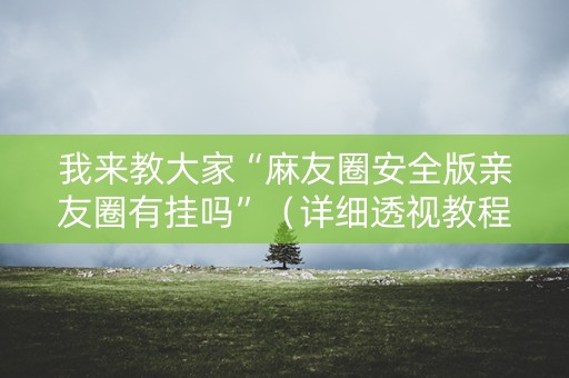 我来教大家“麻友圈安全版亲友圈有挂吗”（详细透视教程）-哔哩哔哩