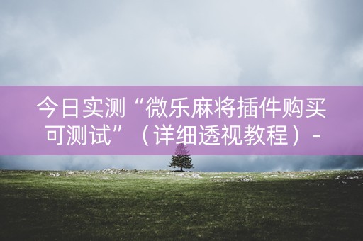 今日实测“微乐麻将插件购买可测试”（详细透视教程）-哔哩哔哩