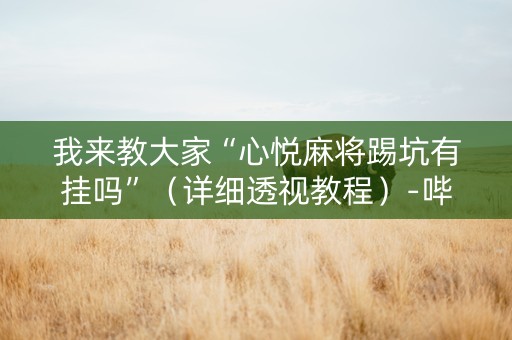 我来教大家“心悦麻将踢坑有挂吗”（详细透视教程）-哔哩哔哩