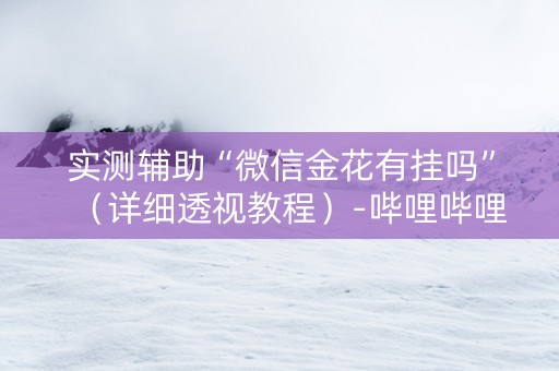 实测辅助“微信金花有挂吗”（详细透视教程）-哔哩哔哩