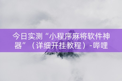 今日实测“小程序麻将软件神器”（详细开挂教程）-哔哩哔哩