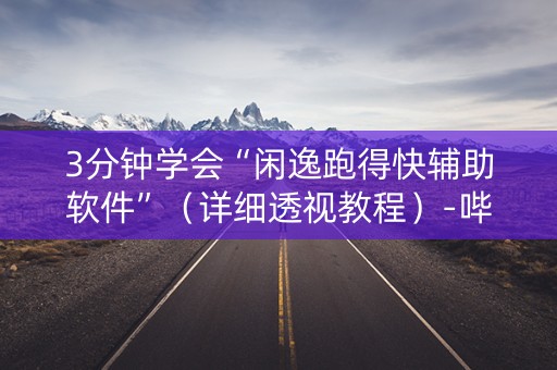 3分钟学会“闲逸跑得快辅助软件”（详细透视教程）-哔哩哔哩