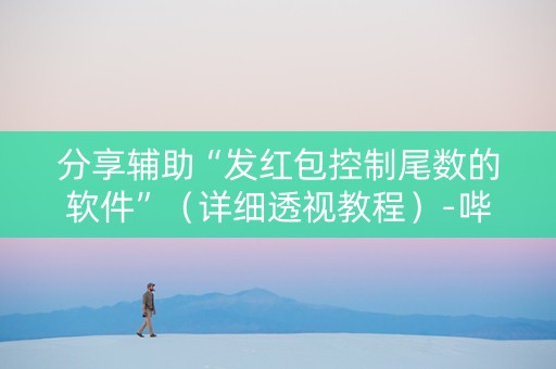 分享辅助“发红包控制尾数的软件”（详细透视教程）-哔哩哔哩