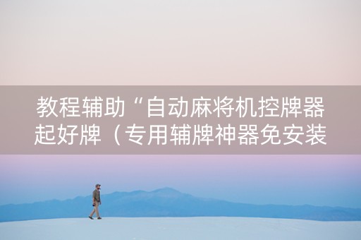 教程辅助“自动麻将机控牌器起好牌（专用辅牌神器免安装）