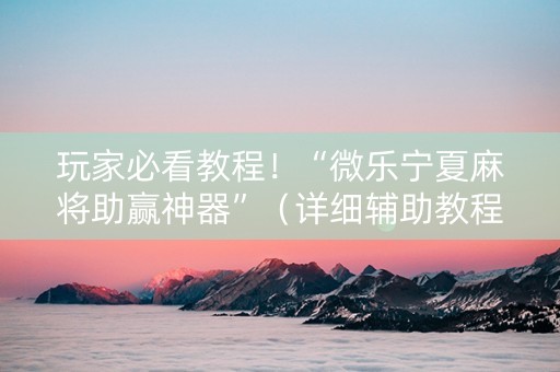 玩家必看教程！“微乐宁夏麻将助赢神器”（详细辅助教程）-哔哩哔哩