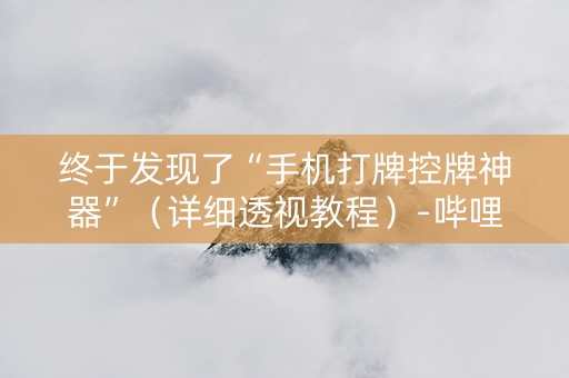 终于发现了“手机打牌控牌神器”（详细透视教程）-哔哩哔哩