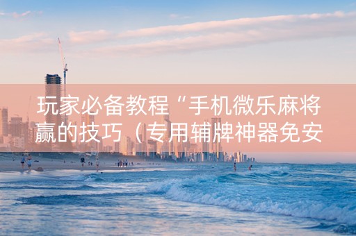 玩家必备教程“手机微乐麻将赢的技巧（专用辅牌神器免安装）