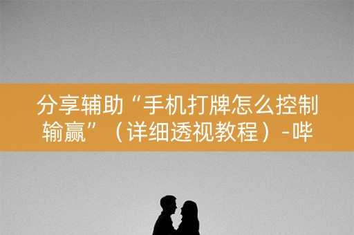 分享辅助“手机打牌怎么控制输赢”（详细透视教程）-哔哩哔哩