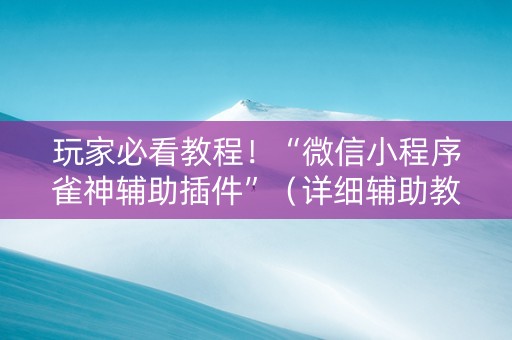 玩家必看教程！“微信小程序雀神辅助插件”（详细辅助教程）-哔哩哔哩