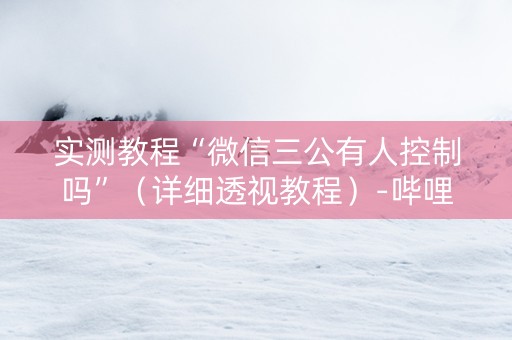 实测教程“微信三公有人控制吗”（详细透视教程）-哔哩哔哩