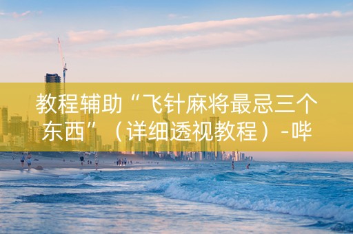 教程辅助“飞针麻将最忌三个东西”（详细透视教程）-哔哩哔哩