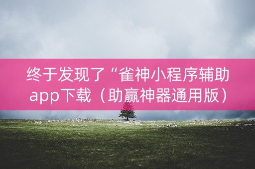 终于发现了“雀神小程序辅助app下载（助赢神器通用版）