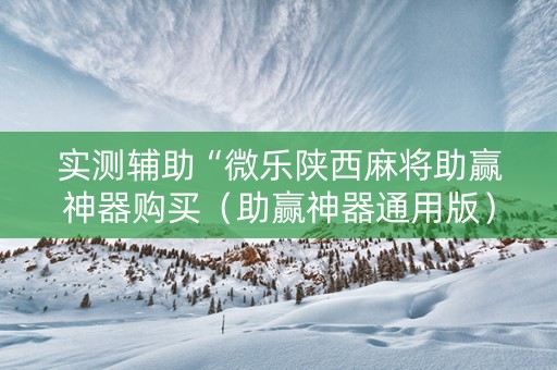 实测辅助“微乐陕西麻将助赢神器购买（助赢神器通用版）
