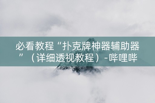 必看教程“扑克牌神器辅助器”（详细透视教程）-哔哩哔哩