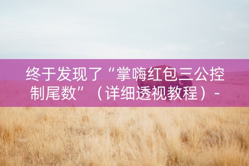 终于发现了“掌嗨红包三公控制尾数”（详细透视教程）-哔哩哔哩