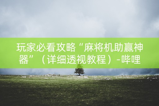 玩家必看攻略“麻将机助赢神器”（详细透视教程）-哔哩哔哩