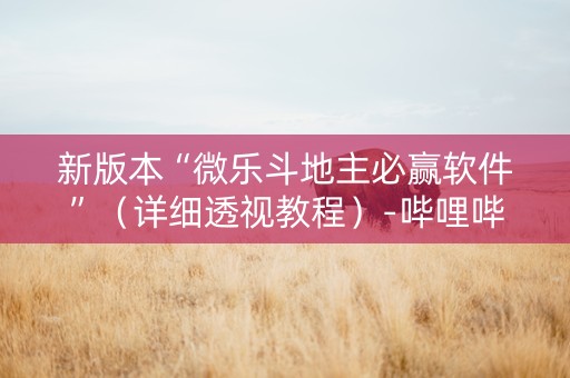 新版本“微乐斗地主必赢软件”（详细透视教程）-哔哩哔哩