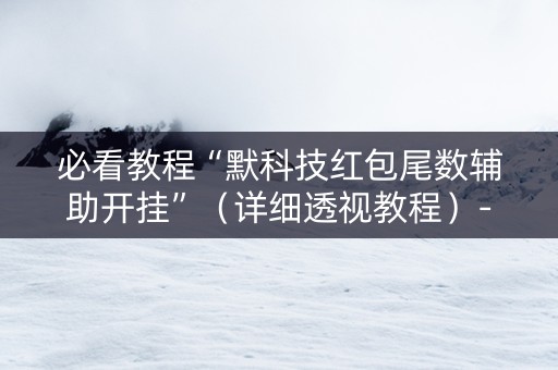 必看教程“默科技红包尾数辅助开挂”（详细透视教程）-哔哩哔哩