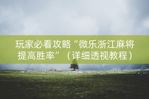 玩家必看攻略“微乐浙江麻将提高胜率”（详细透视教程）-哔哩哔哩