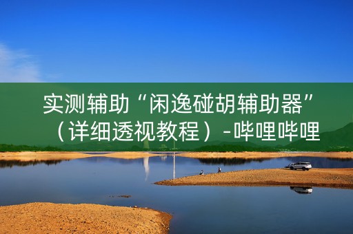 实测辅助“闲逸碰胡辅助器”（详细透视教程）-哔哩哔哩