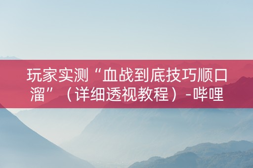 玩家实测“血战到底技巧顺口溜”（详细透视教程）-哔哩哔哩